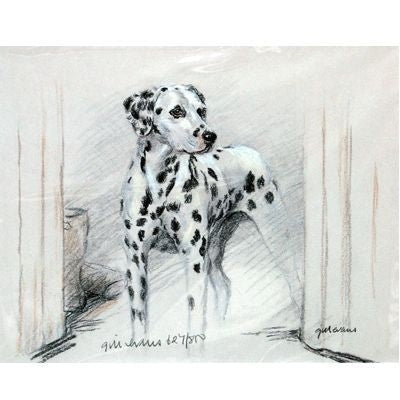 Dalmatian By Gill Evans Matted 12.75 x 10.75