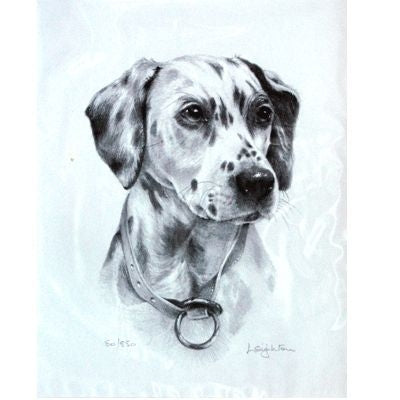 Dalmatian By Sandra Leighton Matted 10.75 x 12.75