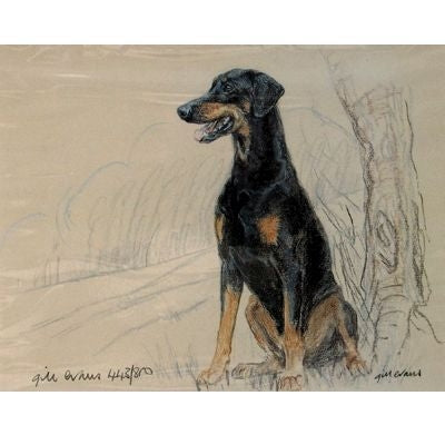 Doberman By Gill Evans Matted 12.75 x 10.75