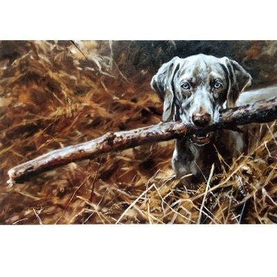 Early Learning By Mick Cawston 12.5 x 8.25