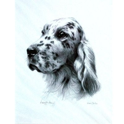 English Setter Matted 10.75x12.75