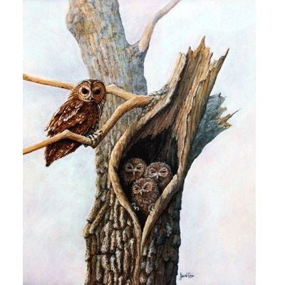 Family Tree By David Vine 11 x 13.5