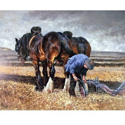 Fine Tuning 11 3/8 x 9 1/8