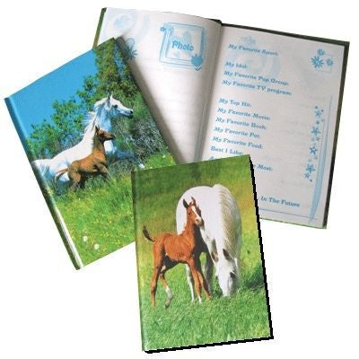 Friendship Book 2 pack