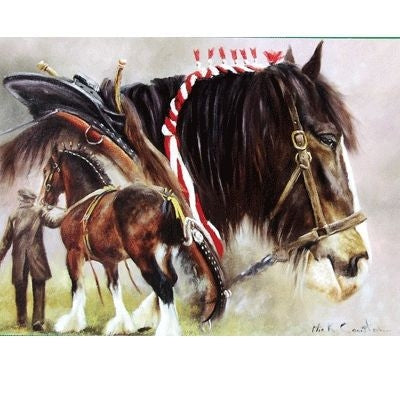 Draft Horse Blank Greeting Cards - 6 Pack 5 x 7