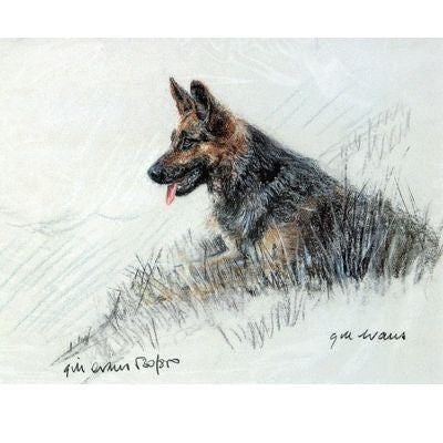 German Shepherd By Gill Evans Matted 12.75 x 10.75