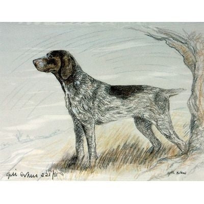 German Shorthair Pointer Matted 12.75 x 10.75