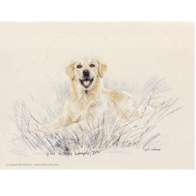 Golden By Gill Evans 12.75 x 10.75
