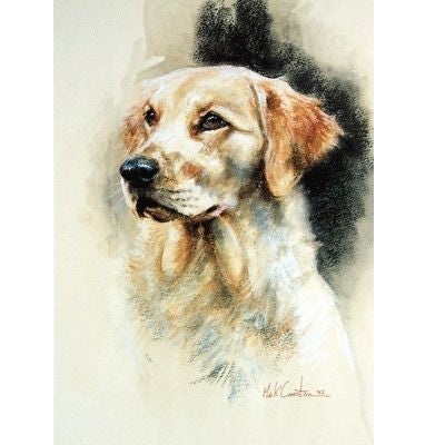 Golden Retriever By Mick Cawston 6.75 x 9.5