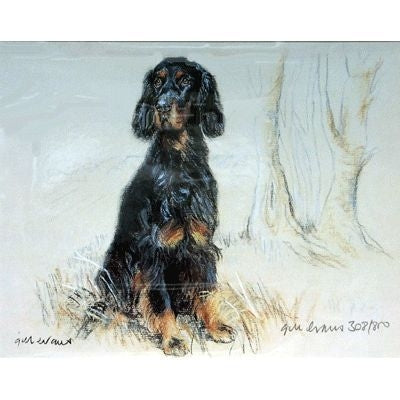Gordon Setter By Gill Evans 12.75 x 10.75