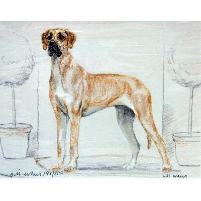 Great Dane By Gill Evans Matted 12.75 x 10.75