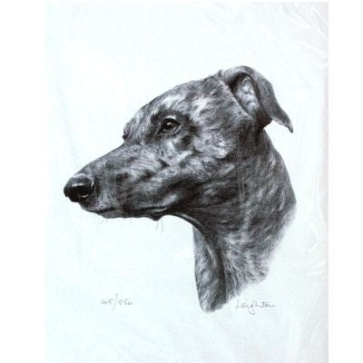 Greyhound By Sandra Leighton Matted 10.75 x 12.75