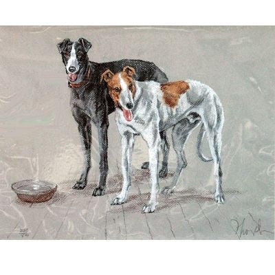 Greyhounds By David Thompson Matted 12.75 x 10.75