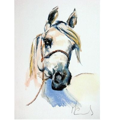 Head of a Lady Arabian Blank Greeting Card-6Pk 5x7