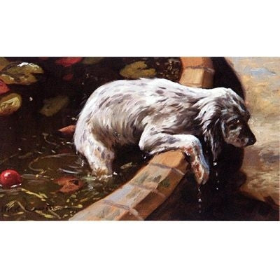 His First Dip By Mick Cawston 6 x 3.5