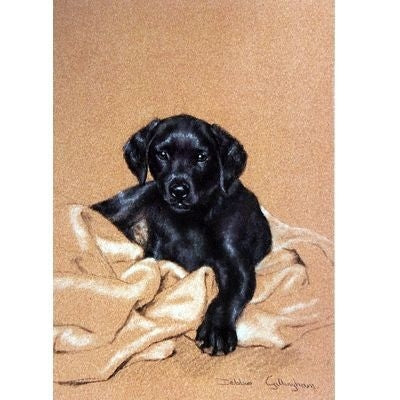 Home Comforts By Debbie Gillingham 5.5 x 8