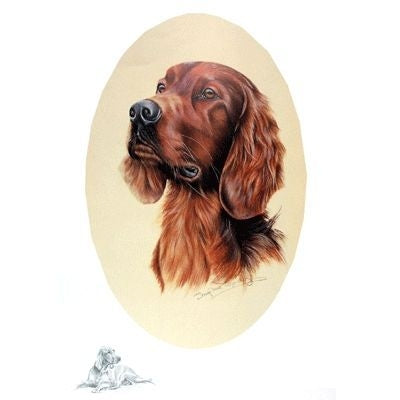 Irish Setter by Josephine Copley 9x12.5