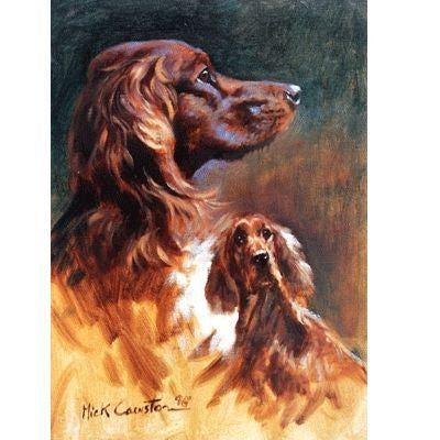 Irish Setter By Mick Cawston 6.5x91/8