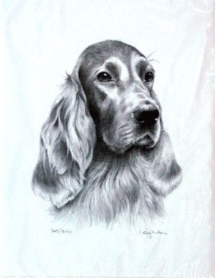 Irish Setter By Sra Leighton 10.75x12.75