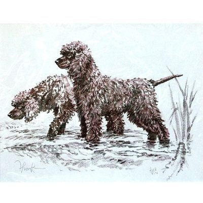 Irish Water Spaniel D Thompson 123/4inx103/4in