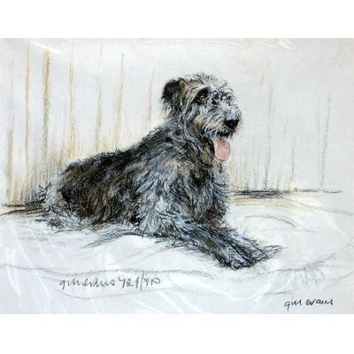 Irish Wolfhound By Gill Evans Matted 12.75x10.75