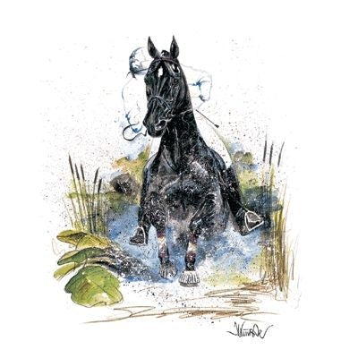 Joker Cross Country By Jan Kunster 19.75x27.5