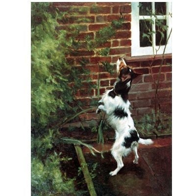 Missed Again By Elizabeth Scrivener 8x11