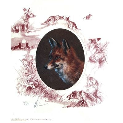 Oval Fox By Mick Cawston 9.25 x 11.5