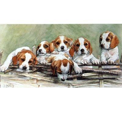Over the Top By Jo Campin 14 x 7.25