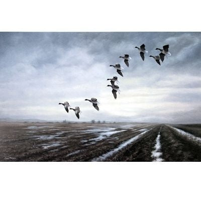 Pinkfeet Coming into Stubble 19.75 x 12.5