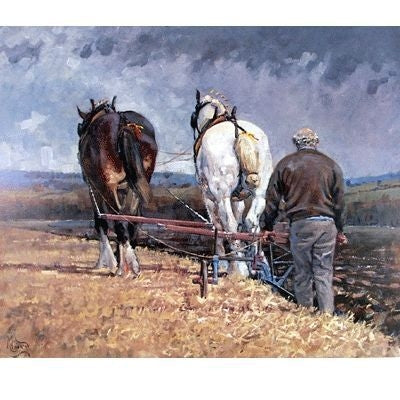 Ploughing 11 3/8 x 9 1/8