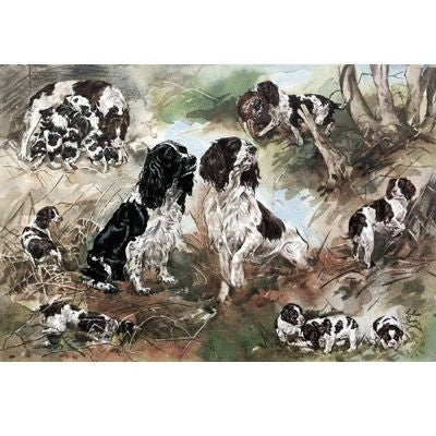 Present and Future By Gillian Harris 17 x 11.5