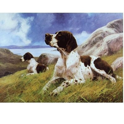English Pointer Blank Greeting Cards - 6 Pack 5x7