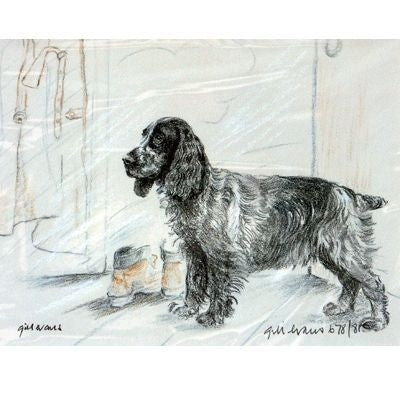 Roan Cocker Spaniel Matted 12.75 x 10.75
