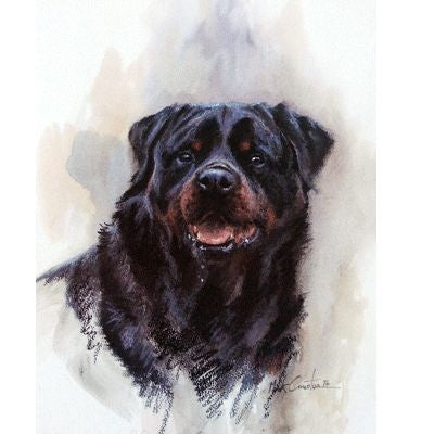 Rottweiler By Mick Cawston 7 x 9