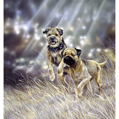 Rough and Ready By Paul Doyle 11.25 x 13.75