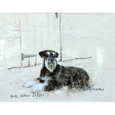 Schnauzer By Gill Evans Matted 12.75x10.75