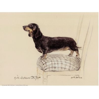 Smooth Dachshund By Gill Evans 12.75 x 10.75
