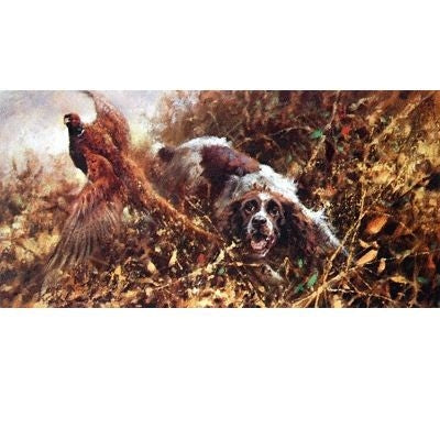 Spaniel and Pheasant By Mick Cawston 6 x 3
