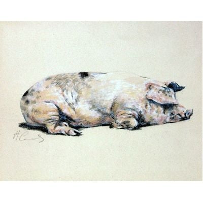 Sweet Dreams By Malcom Coward 9 x 7.25