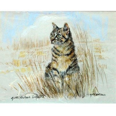 Tabby Cat By Gill Evans Matted 12.75 x 10.75