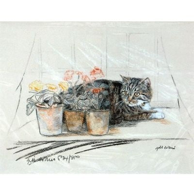 Tabby Cat By Gill Evans Matted 12.75 x 10.75