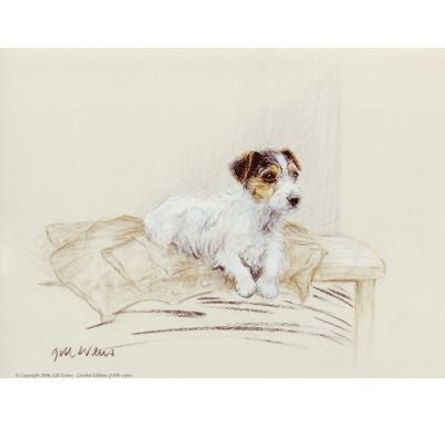 Terrier on Jacket By Gill Evans 12.75x10.75