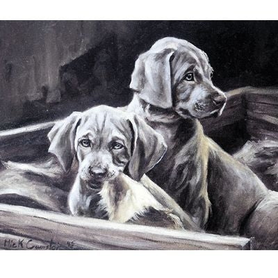 Thats Torn It By Mick Cawston 7.25 x 6