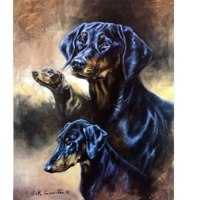 The Doberman By Mick Cawston 7.5 x 9.5