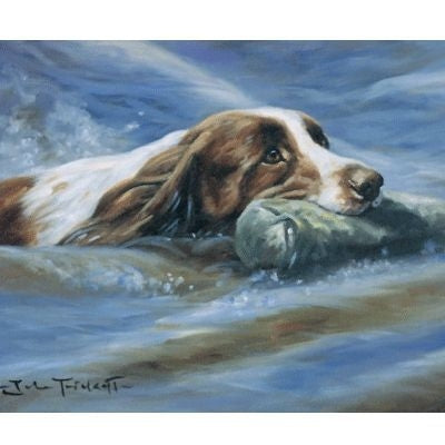 The Final Test By John Trickett 10 x 8.25