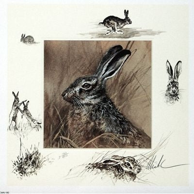 The Hare By Mick Cawston 10.5 x 10.5
