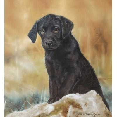 The Lost Boy By Debbie Gillingham 9 x 10