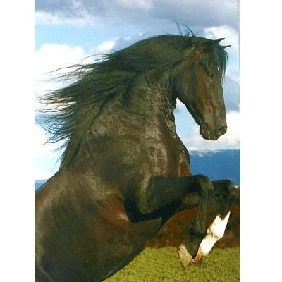 The Stallion Blank Cards 6 Pk 5 x 7