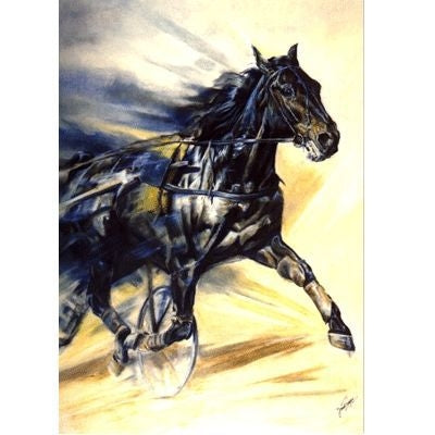 The Trotter Blank Cards 6 Pk 5 x 7
